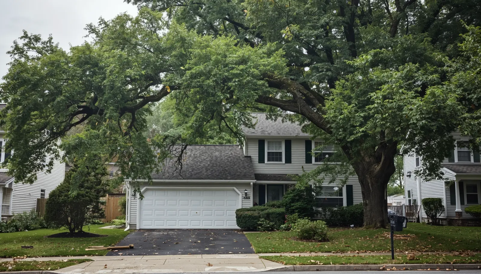 How Tree Prunning Service Rochester NY Prevents Storm Damage Near Monroe Avenue