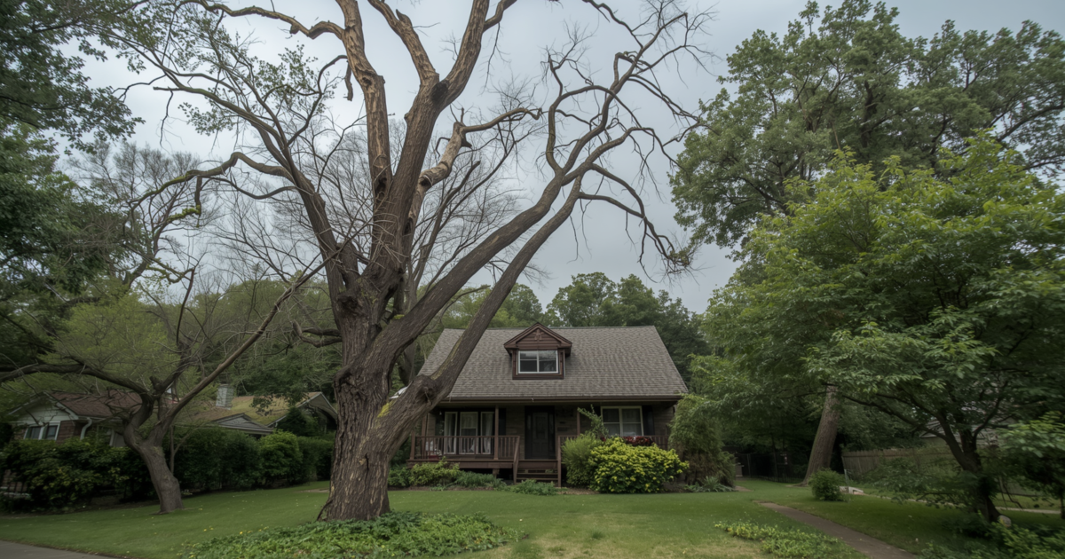 How Regular Tree Maintenance Prevents Property Damage