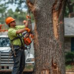 Best Time to Prune Trees Rochester NY | Season-by-Season Tree Pruning Guide